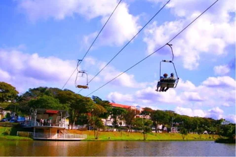 Jardim de flores em Atibaia