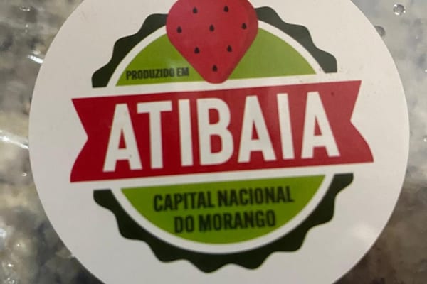 Plantação de morangos em Atibaia