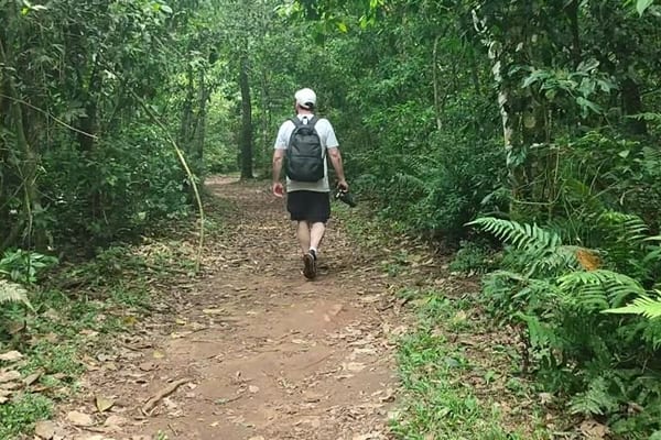 Trilha na natureza