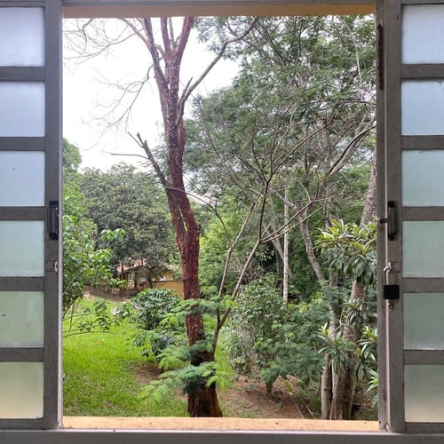 Acordar com a Natureza